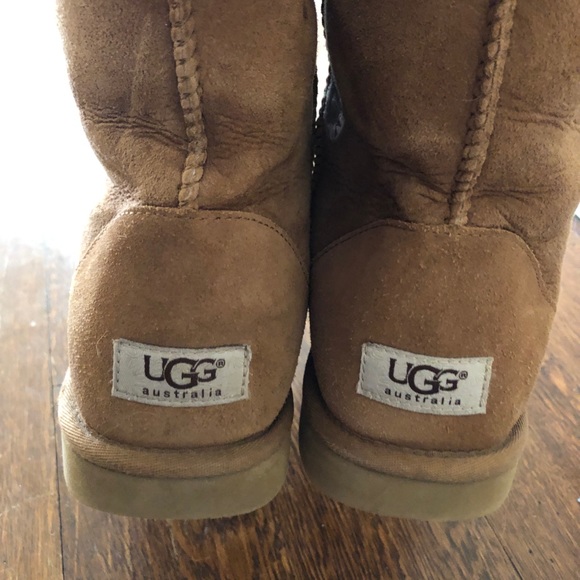 Tall Chestnut UGG boots - Picture 5 of 6